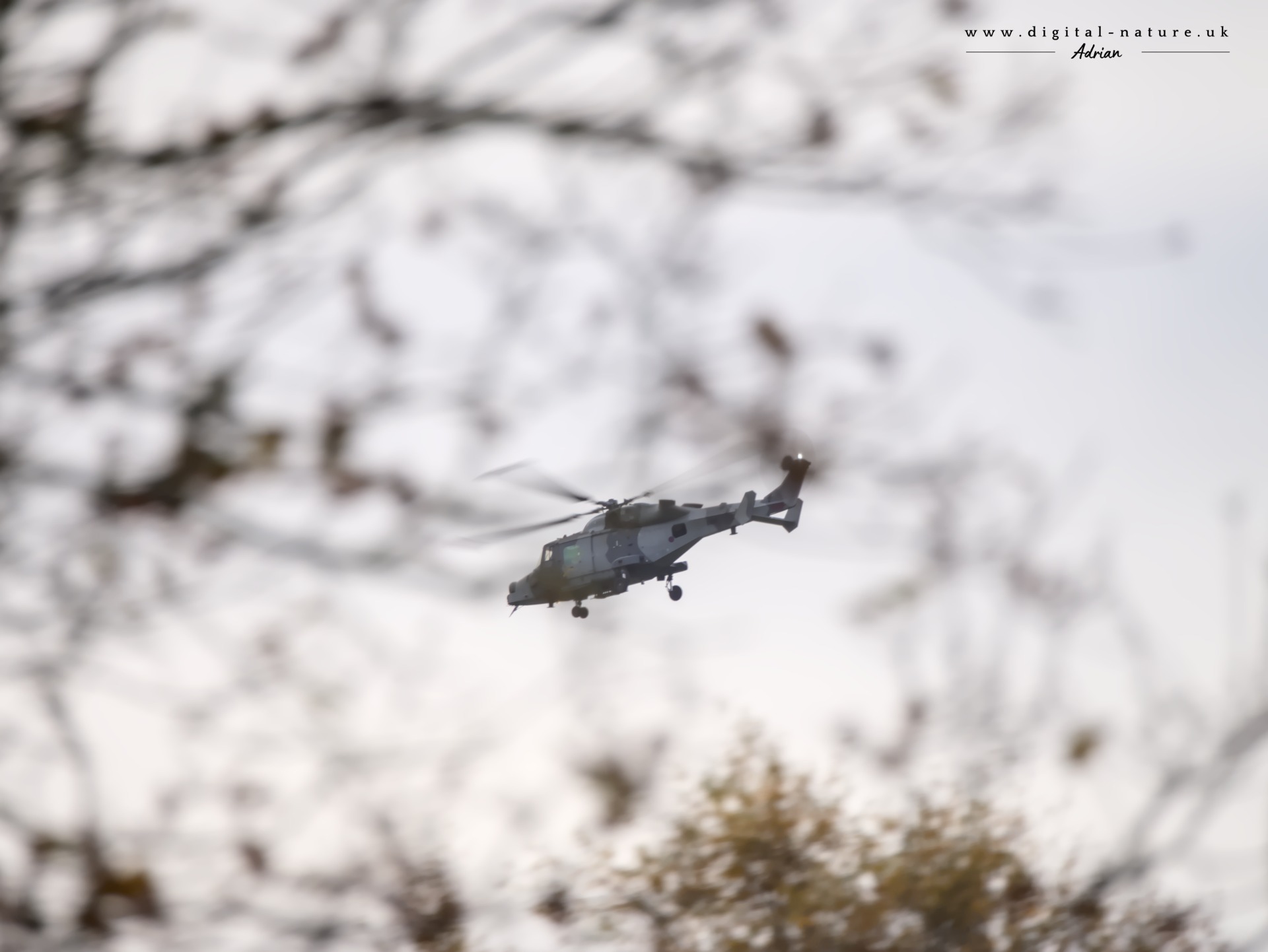 Military helicopter overflying my photo session