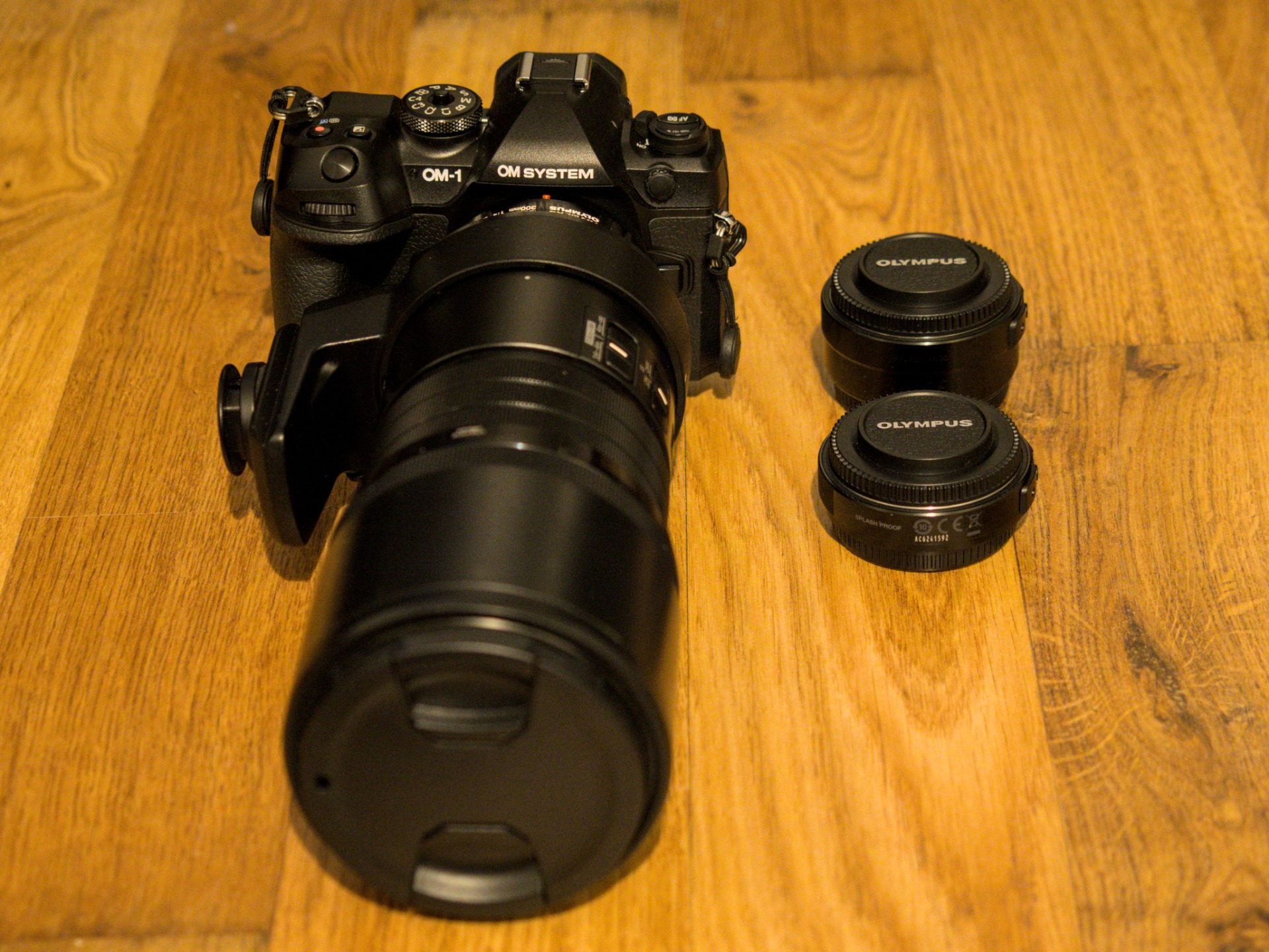 OM1 Mk2 with my new 300mm F4 prime lens and teleconverters